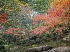 -中国茶叶博物馆(双峰馆区)