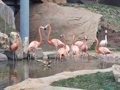 -沈阳森林动物园