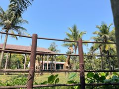 -海南热带野生动植物园