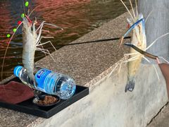 -粮心小农·大头虾亲子生态园(长发店)