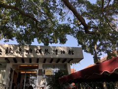 -鼓浪屿钢琴博物馆