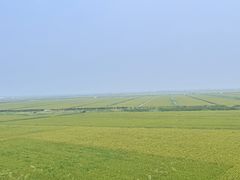 -红海滩国家风景廊道