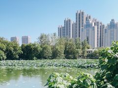 -月湖风景区