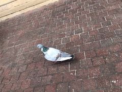 -东部华侨城