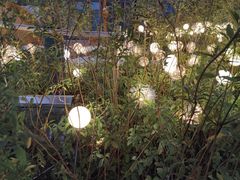 -万达广场(无锡滨湖店)