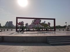 -莲花池公园
