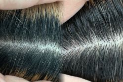 -5M HAIR SALON 旗舰店
