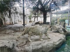 -灵玲国际马戏城
