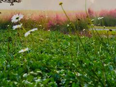 -汉长安城未央宫国家考古遗址公园