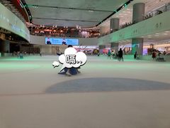-TheRink大零溜冰场(IFS国金中心店)