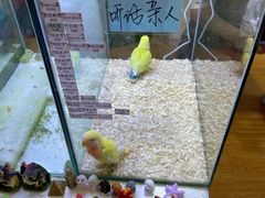 -鹏欣水游城