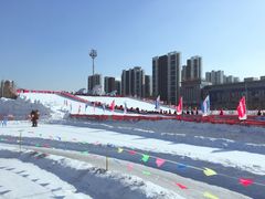 游乐设施-沈阳奥体冰雪嘉年华