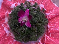 -故里和山·成都火锅(欢乐港湾店)