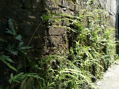 -邱记私房菜·十八年本地菜