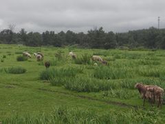 -新疆那拉提国家旅游度假区