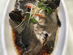 清蒸青斑鱼-双井轩(双井店)