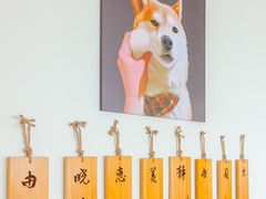 -柴犬小屋·柴餐厅·狗咖食堂(金鼎广场店)