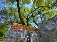 -大槐树寻根祭祖园