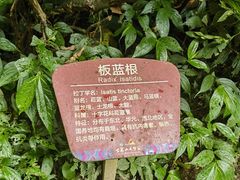 -古龙山大峡谷