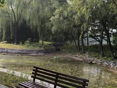 -望湖公园