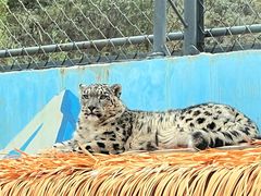-青藏高原野生动物园