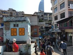 -猫咪博物馆(顶澳仔猫街店)