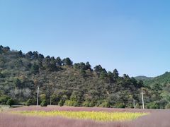 -玉华宫景区