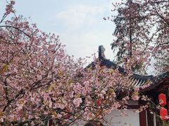 -东湖磨山景区