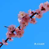 哈尔滨文庙
