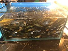 -富力丽思卡尔顿酒店·香荟全日制餐厅