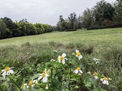 -白鹭湾湿地公园