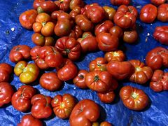 -西双版纳集贸市场