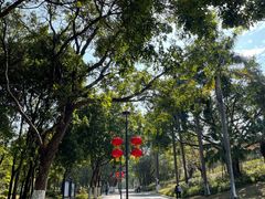 -东莞植物园