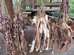 -龙潭生态旅游度假区