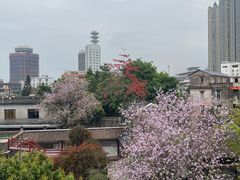 -东莞市可园博物馆