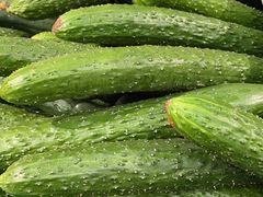 -华联商厦(火车站店)