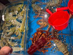 -吴记富苑(朝阳店)