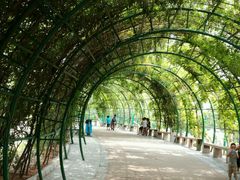 鸟语林-辛玛王国游乐园