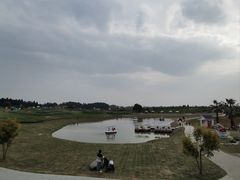 -空港花田景区