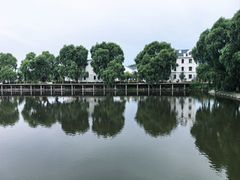 -白渔泡湿地公园