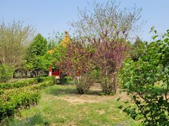 -天元公园