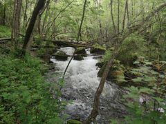 -叠溪松坪沟景区