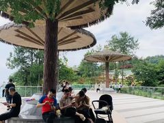 -铁山坪森林公园