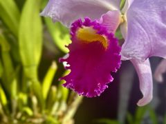 -国家植物园南园