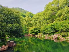 -逸廊大堂吧-下午茶·简餐-千岛湖自由洲际殿