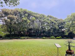 -申粤轩酒楼·三十年粤菜经典(丁香花园店)