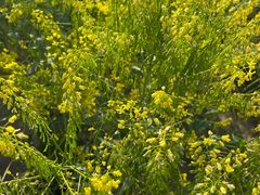 -天津武清北运河郊野公园房车露营地