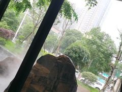 -院里寻菜·精致庭院菜(观沙岭店)