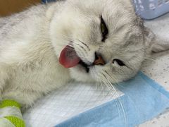 -联合动物医院(光谷诊疗中心)