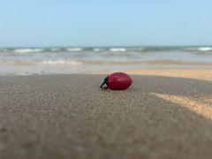 -仰口沙滩